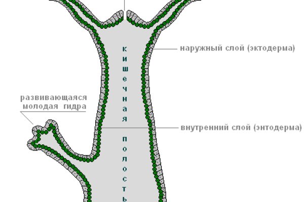 Кракен онион даркнет площадка